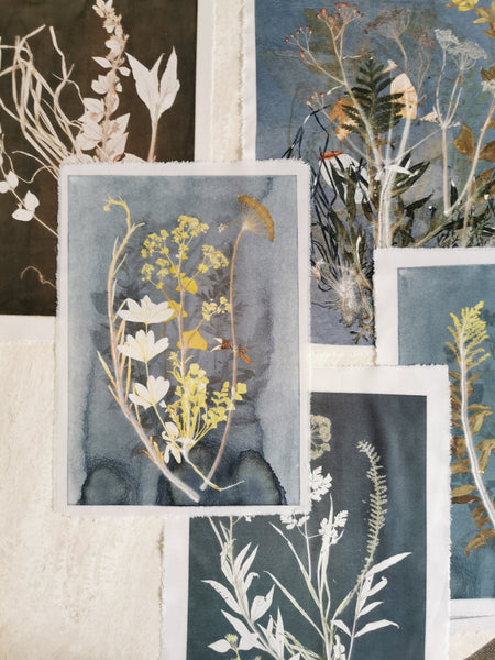 Plantetryk / Botanical Monoprint Wall decor